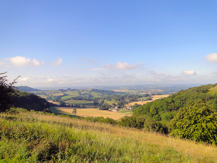 Looking south from Stinchcombe Hill