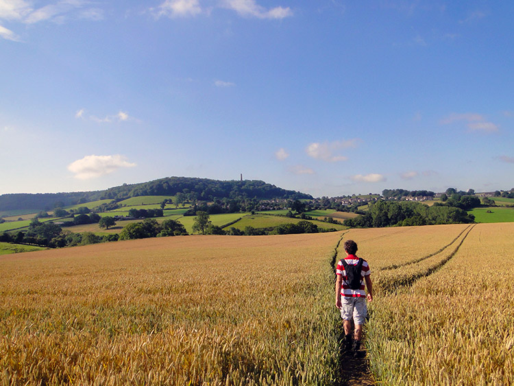 Crossing a grain field toward North Nibley