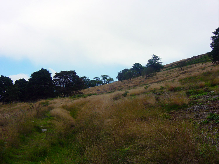 Climbing to Simon's Seat