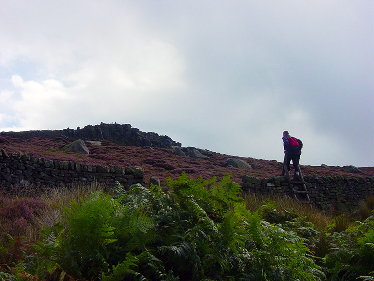 Nearly up on top of Simon's Seat