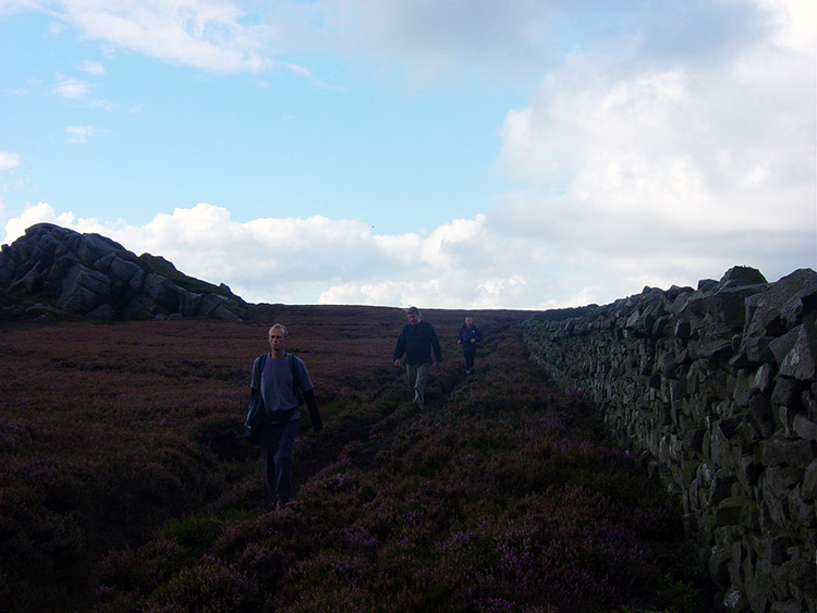 Beside the wall on leaving Lord's Seat