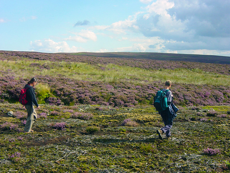 Barden Fell