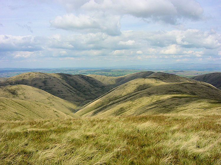 Wainwright's slumbering Elephants