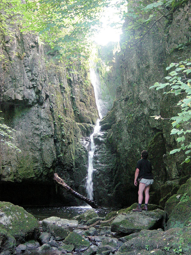 Catrigg Force