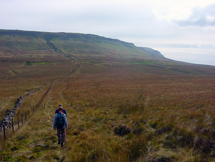 Walking from Cosh Outside towards Plover Hill