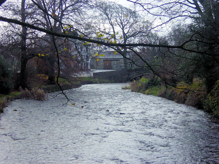 Clapham Beck