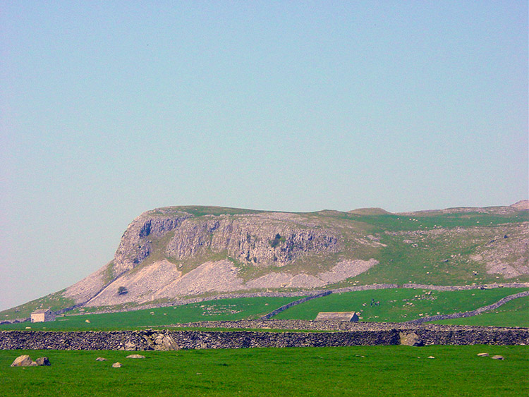 Robin Proctor Scar