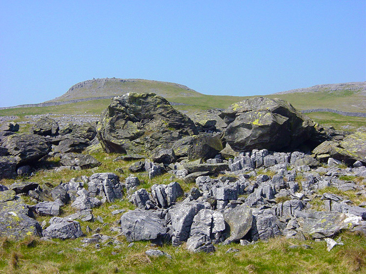 The term erratics fits the bill