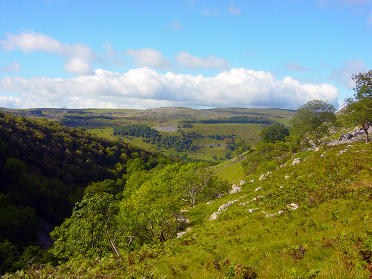 Yorkshire Dales view near Bastow Wood