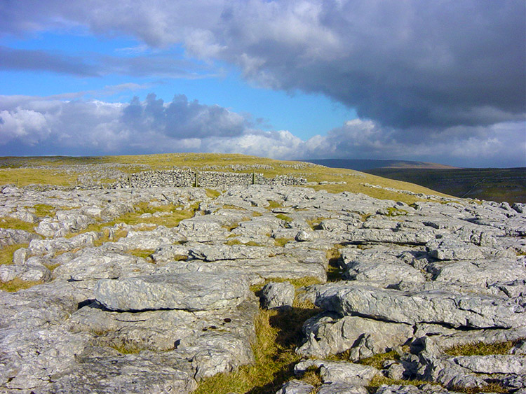 Limestone Pavement