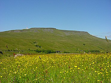 Wild Boar Fell as seen from Cumpston Hill