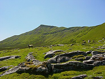 On the climb of Wild Boar Fell from Hazelgill