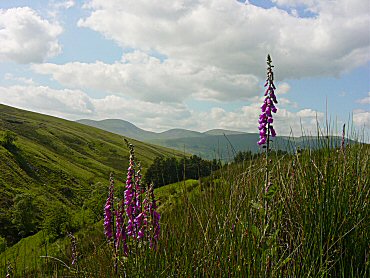 The Howgill Fells seen from Holmes Moss