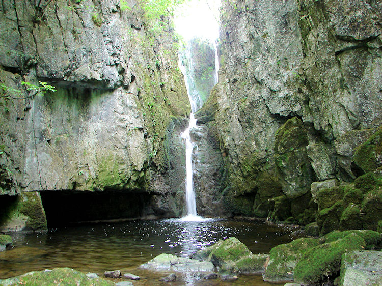 Catrigg Force