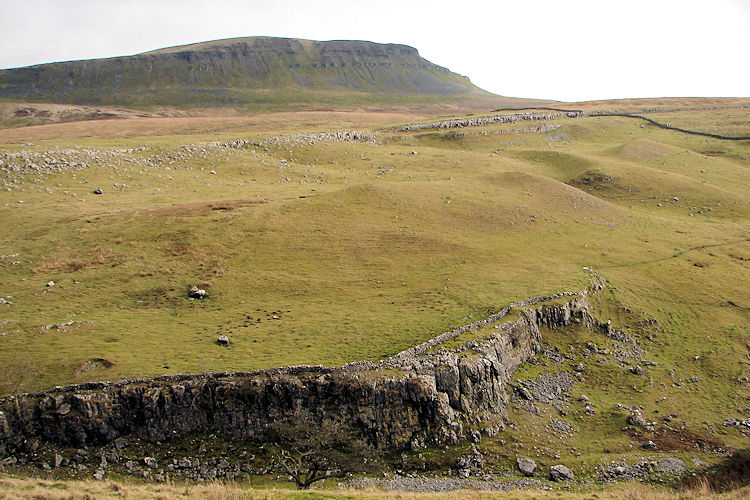 View to Pen-y-ghent from Horton Scar