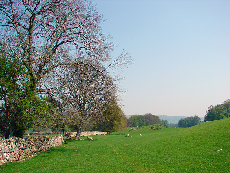 Following Stony Stoop Lane down to the River Ure