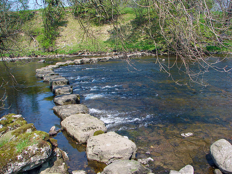 I crossed the stepping stones both ways