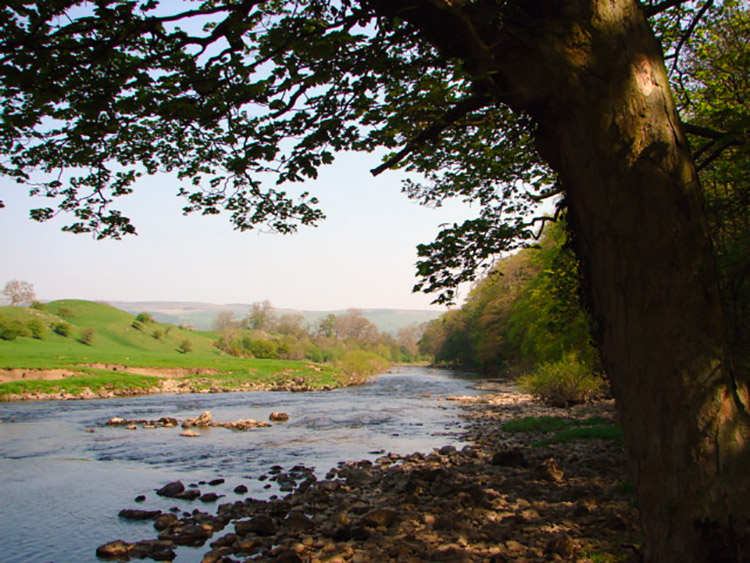 The Ure looked fantastic on this lovely Spring day