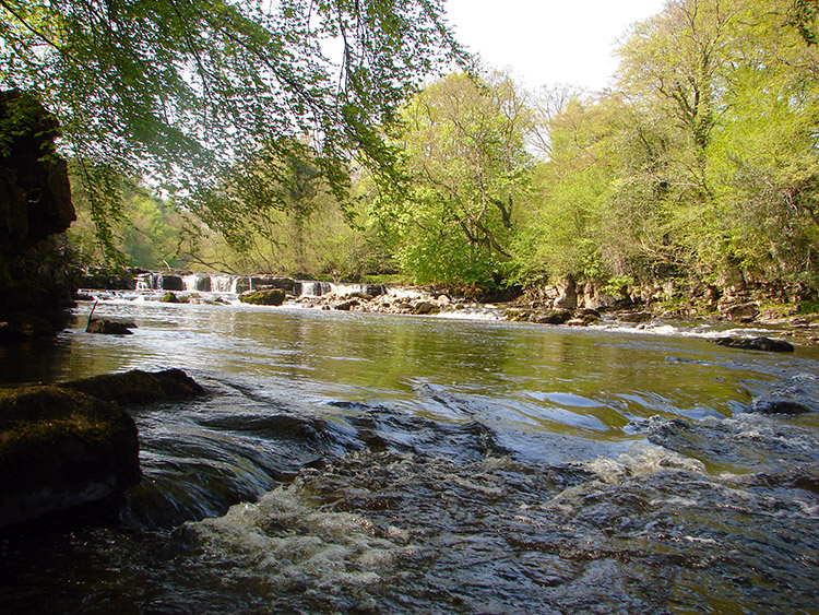 Rushing water at Redmire Force