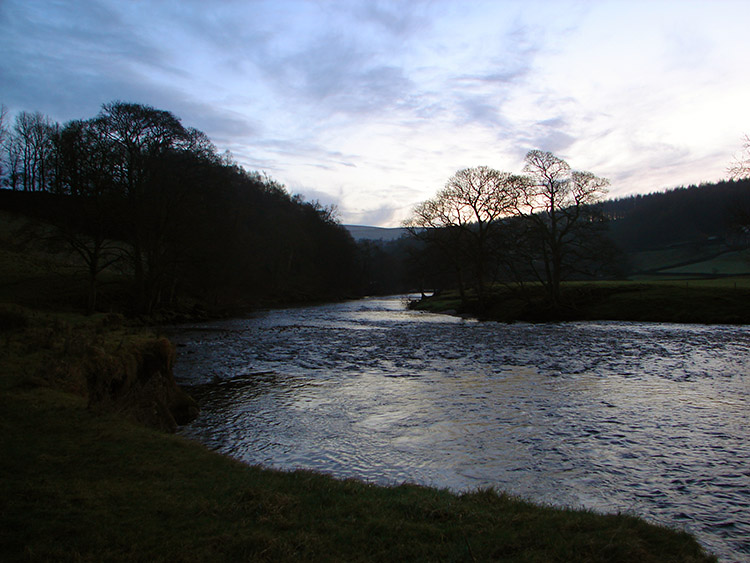 Nearly Dark