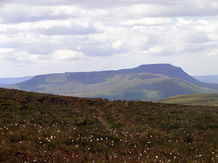 Ingleborough viewed from Dodd Fell