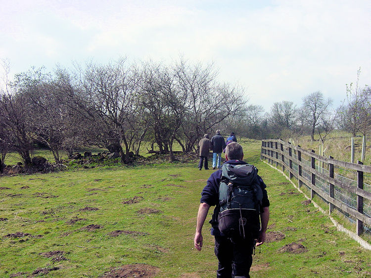 Walking through fields to Hollins House