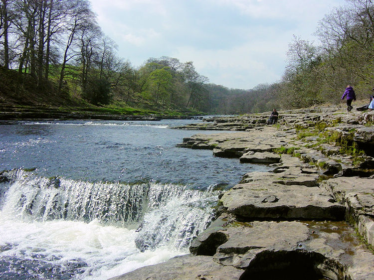 Aysgarth Lower Force