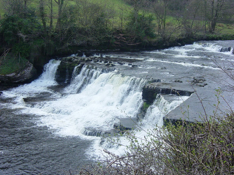 Aysgarth Middle Force