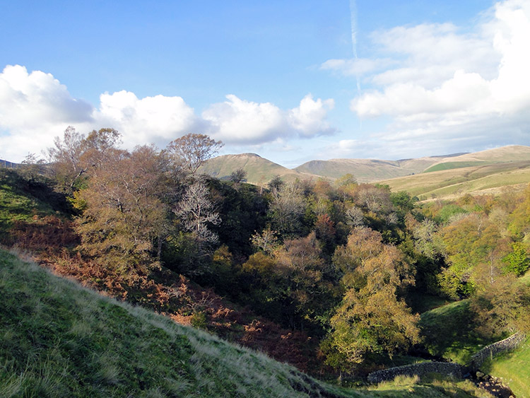 Fellside trees hang on to the last Autumn colour