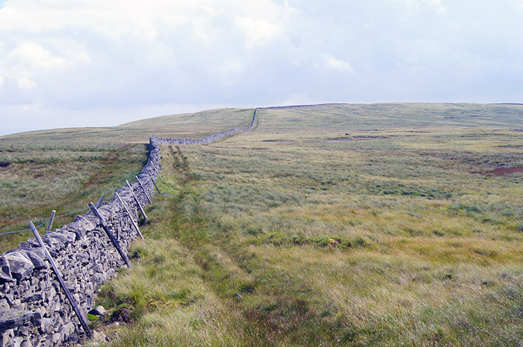 Wall linking Crag Hill and Great Coum