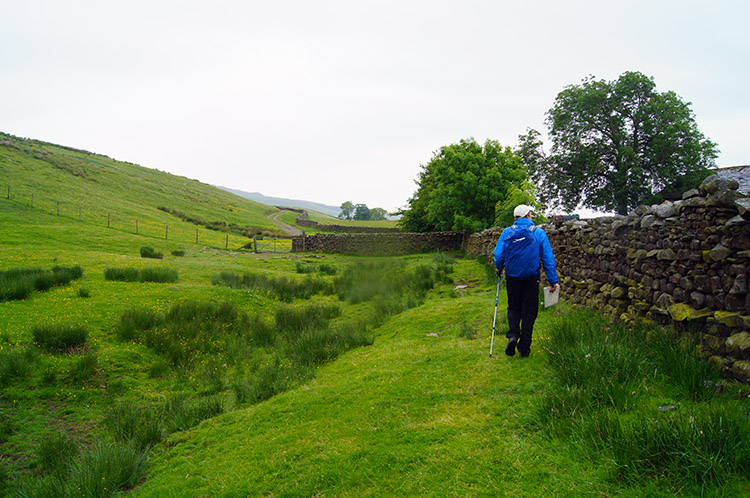 Heading from Whitfield Gill to Low Straights Lane