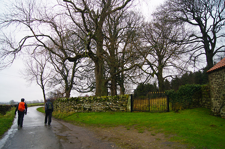 Following the road from East Witton towards Grey Yaud