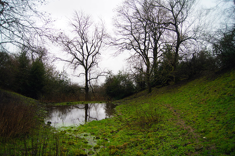 Pond near Quarry Hill