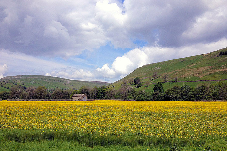 The breathtaking colour of Swaledale in springtime