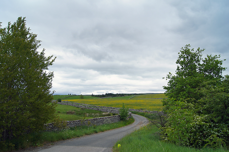 Following the road to Badger Hill