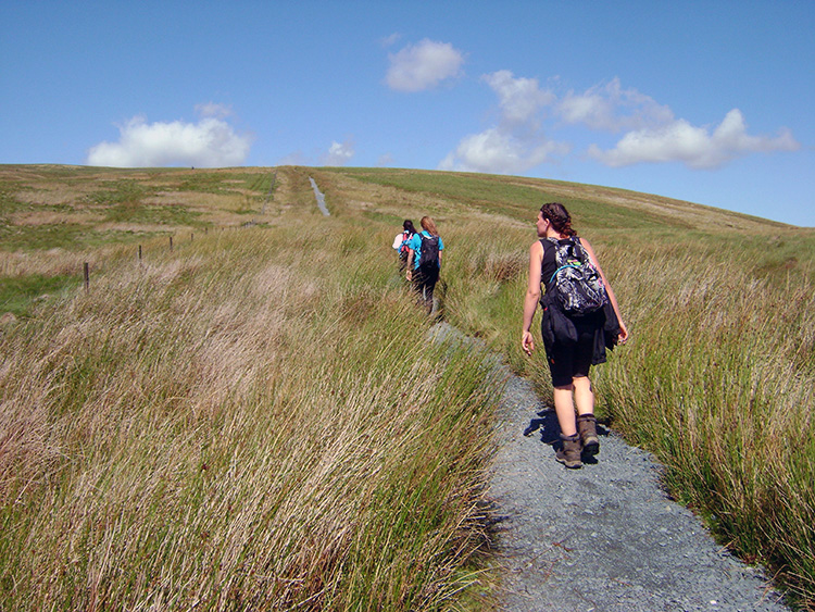 Climbing to Grain Head