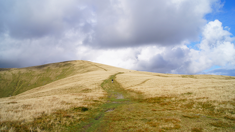 Path across Rowantree Grains