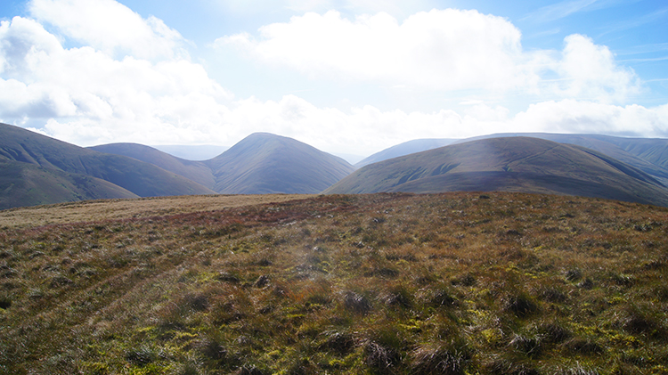 A Howgill Fells view from Hazelgill Knott