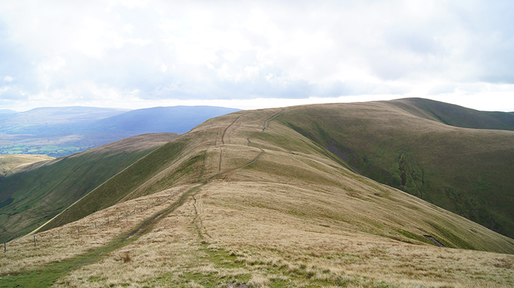 On the path back across Rowantree Grains