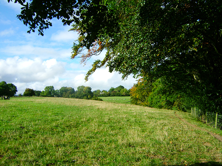 Meadowland on Billy Bank