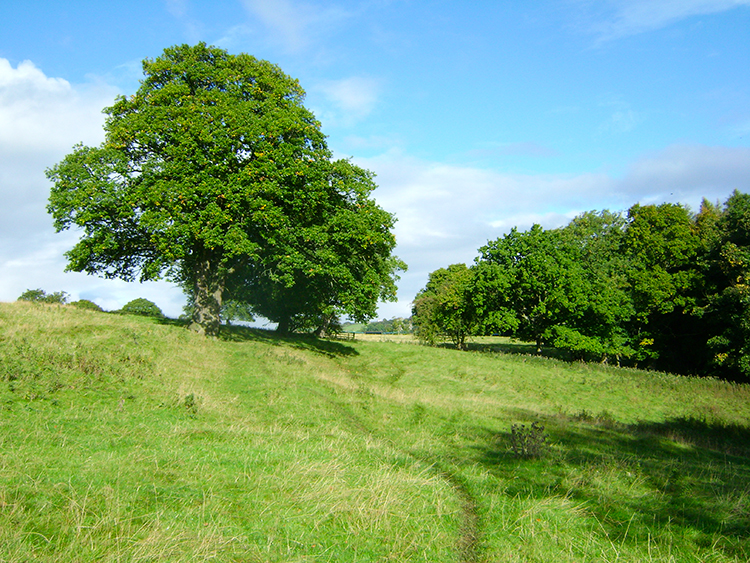 Crossing fields near Round Howe