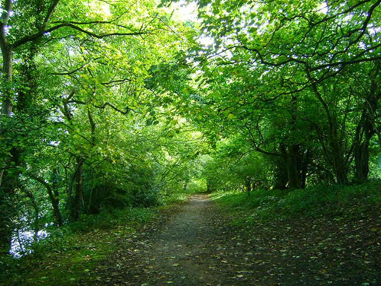 On the riverside trail