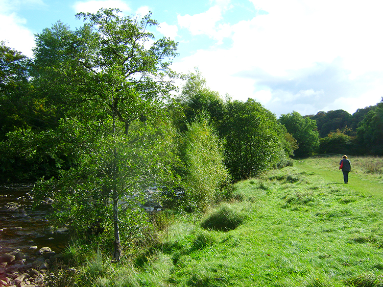 A lovely clearing beside the River Swale