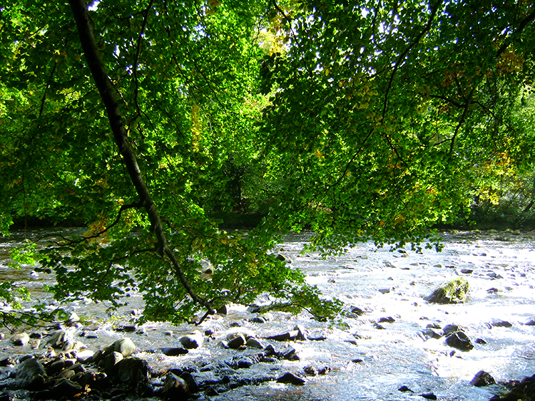 Rapids in the River Swale