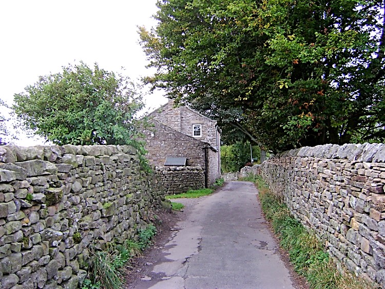 Country lane leading out of Reeth