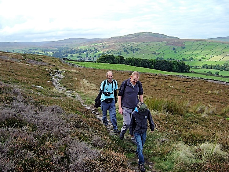 On Harkerside Moor