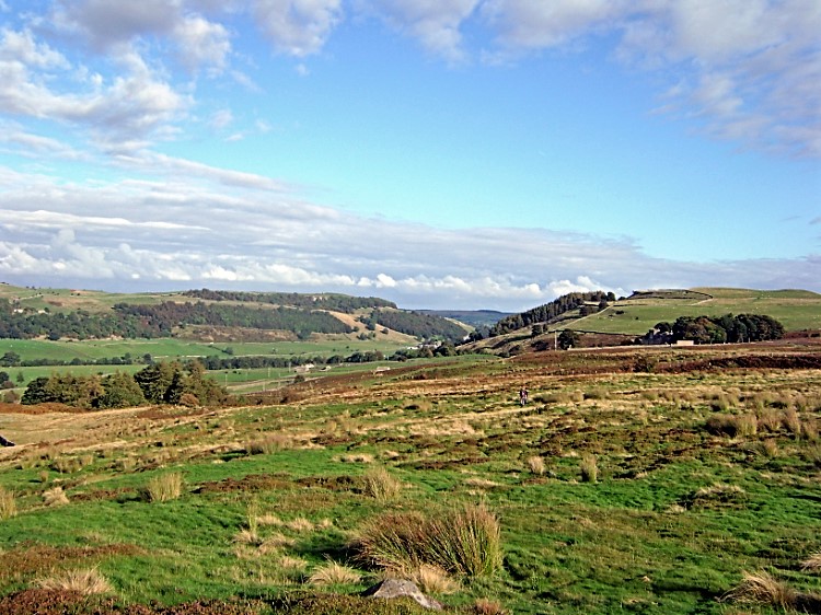 View towards Grinton Lodge