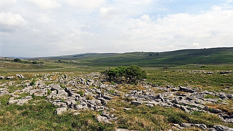 Limestone Pavement