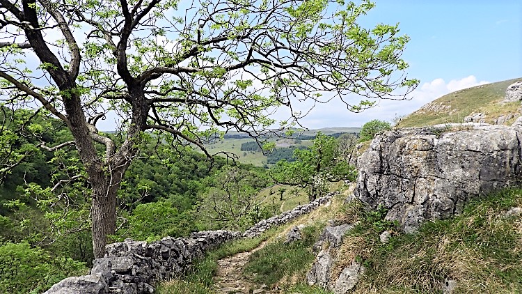 Path through Dib Gorge