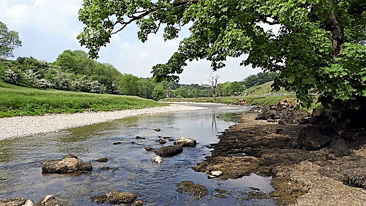 River Wharfe near Kirk Bank